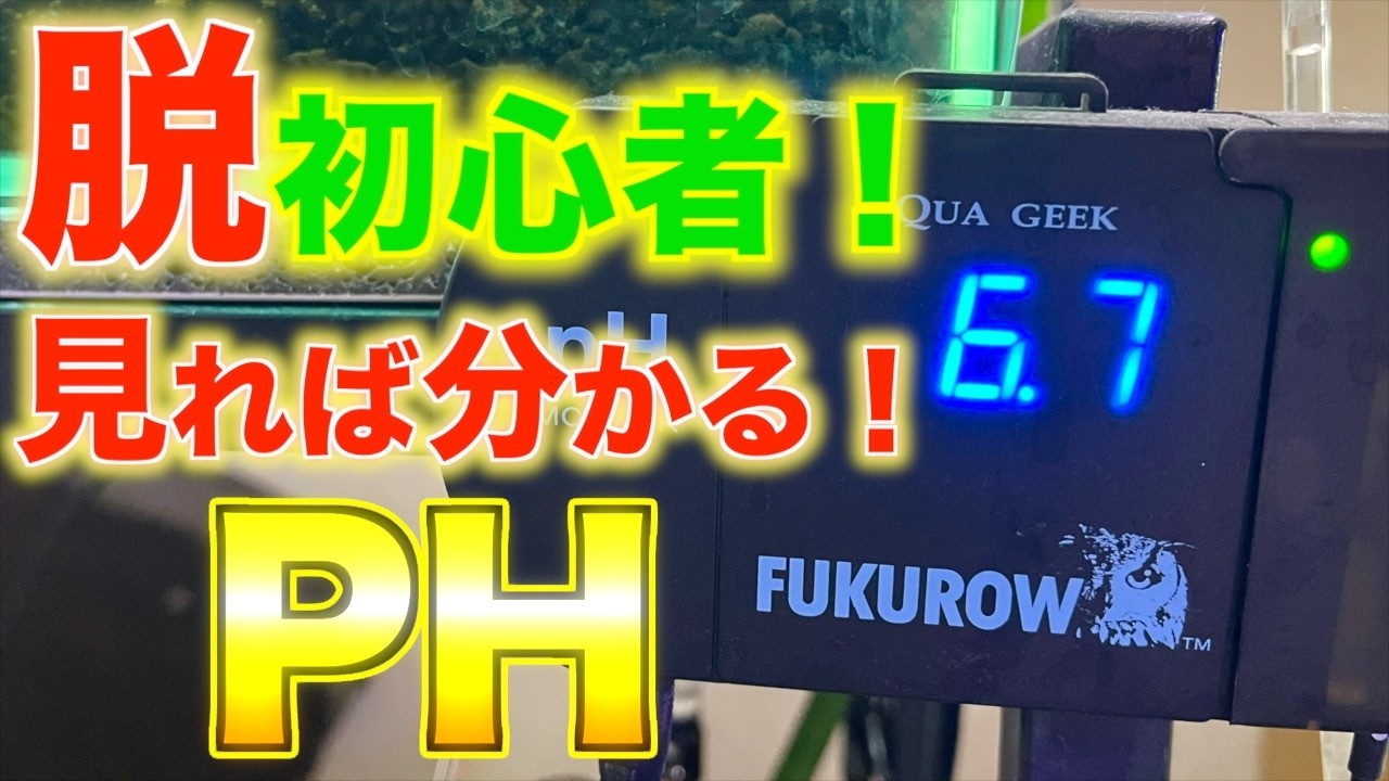 【PH】10分で分かるPH！なぜアクアリウムで計測するのか？初心者にも分かりやすく解説！