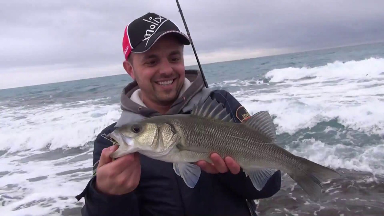 Seabass Clan TV - TRAILER 2017