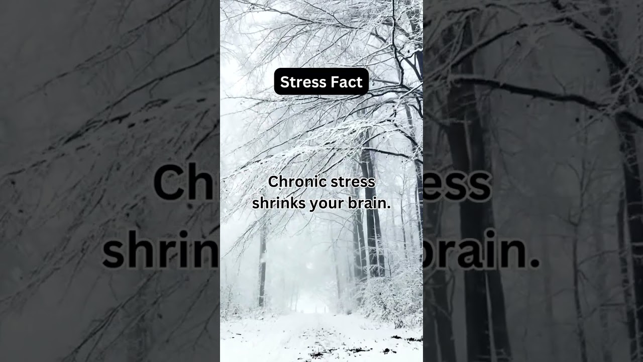 Stress Facts