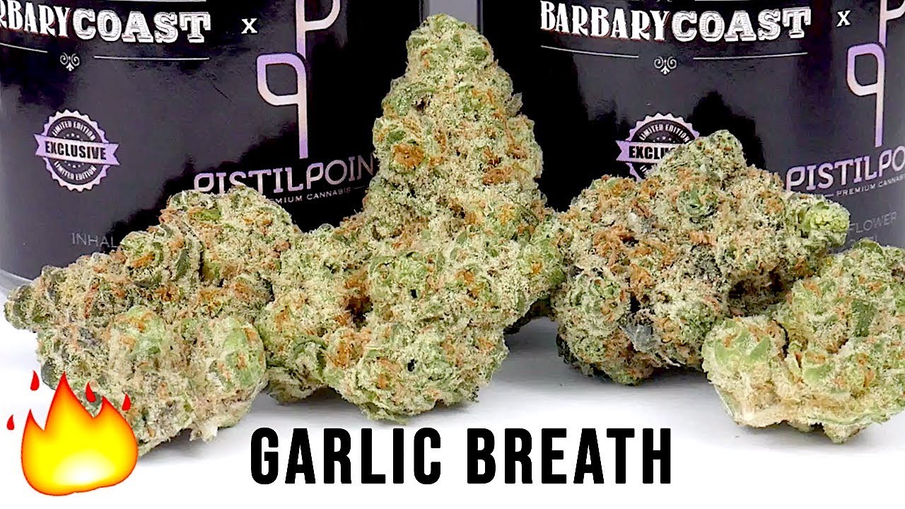 GARLIC BREATH STRAIN REVIEW