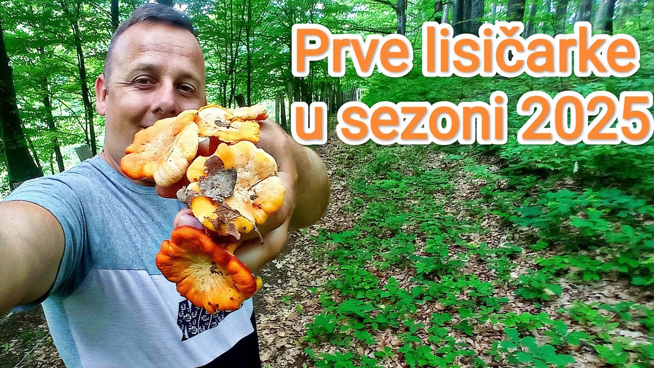 GLJIVE SA ALDINOM - PRVE LISIČARKE U SEZONI 2025
