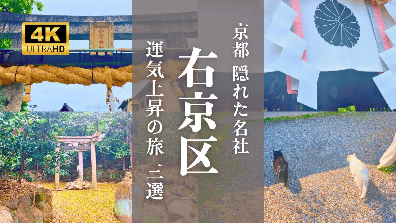 【歴史と伝説の京都へ】梅宮大社、蚕ノ社、今宮神社。右京区のパワースポット3選で開運祈願！