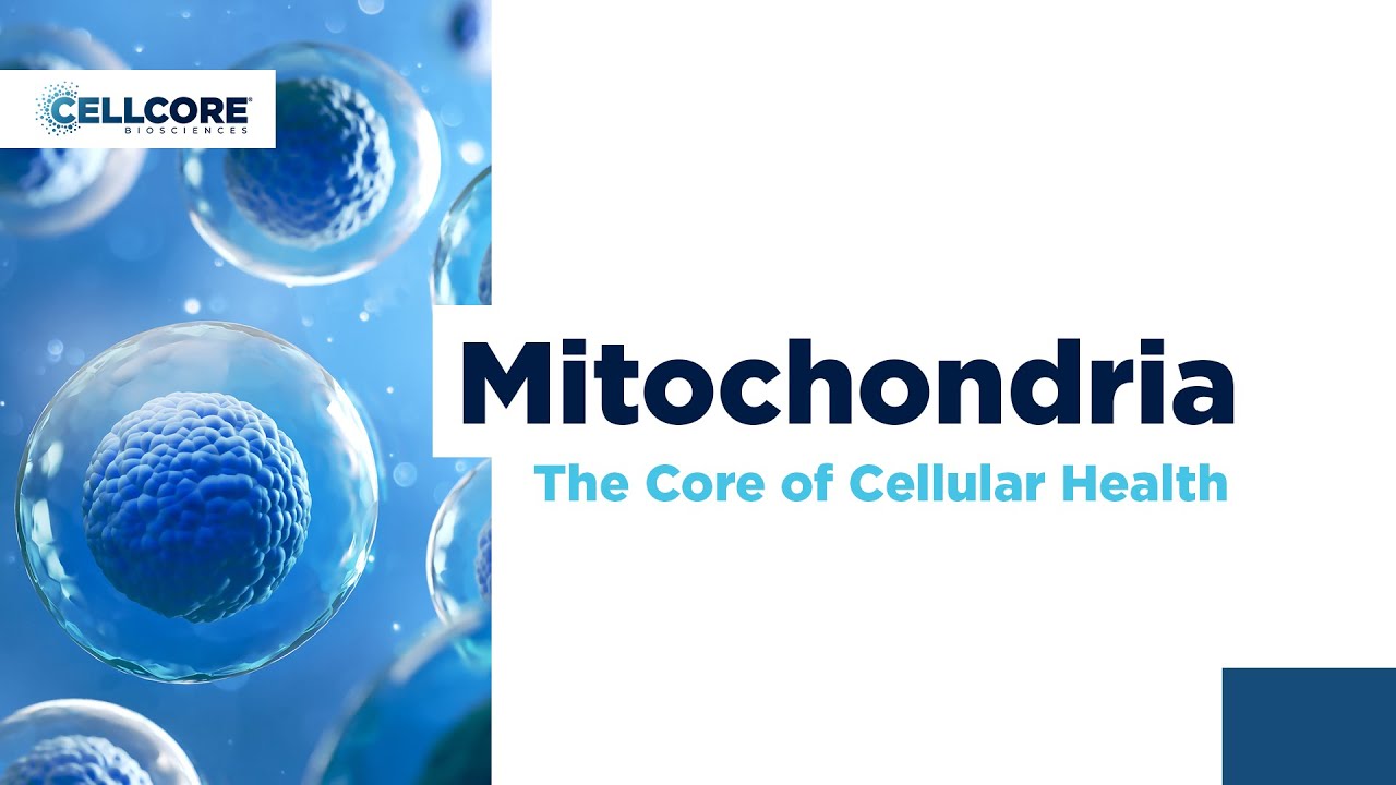 The Core of Cellular Health: Mitochondria | CellCore Biosciences