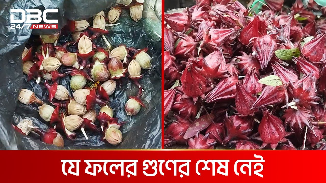 ’সর্ব রোগের মহা ঔষধ’ কেজি ২ হাজার টাকা | DBC NEWS Special