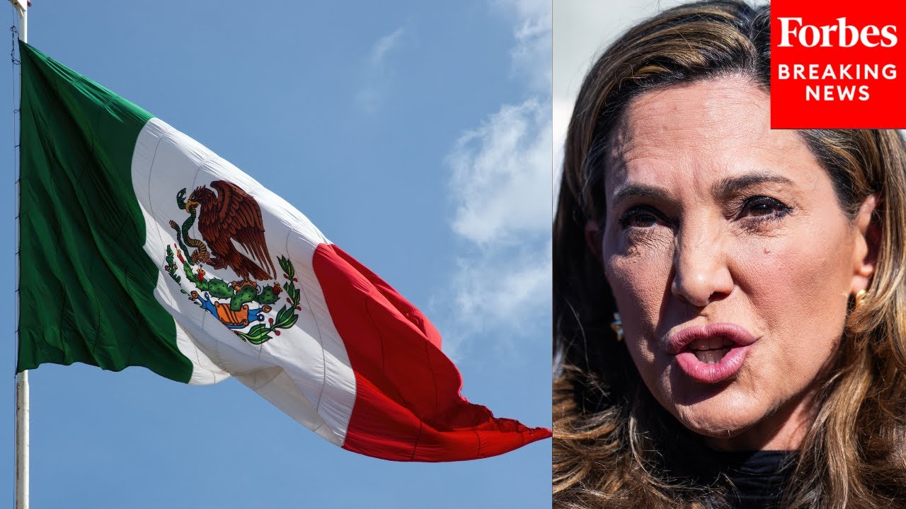 'Pure And Simple Slavery': Maria Elvira Salazar Accuses Mexico Of Paying Cuban For Slave Labor