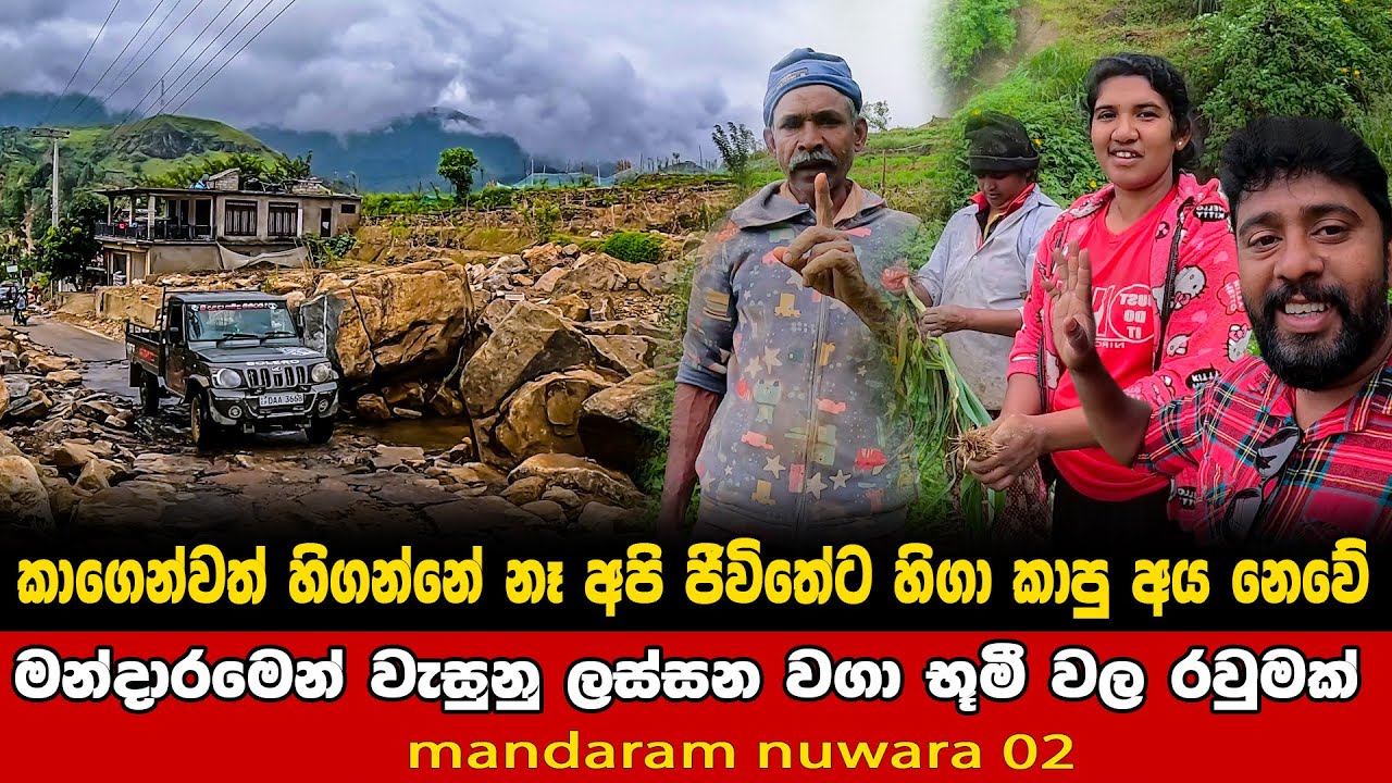අපි කාගෙන්වත් හිගාකන්නේ නෑ ජීවිතේට හිගා කාලා නෑ 🌾🥕🌱 | යලි නැගිටින මන්දාරම්නුවර💪 | mandaram nuwara 2