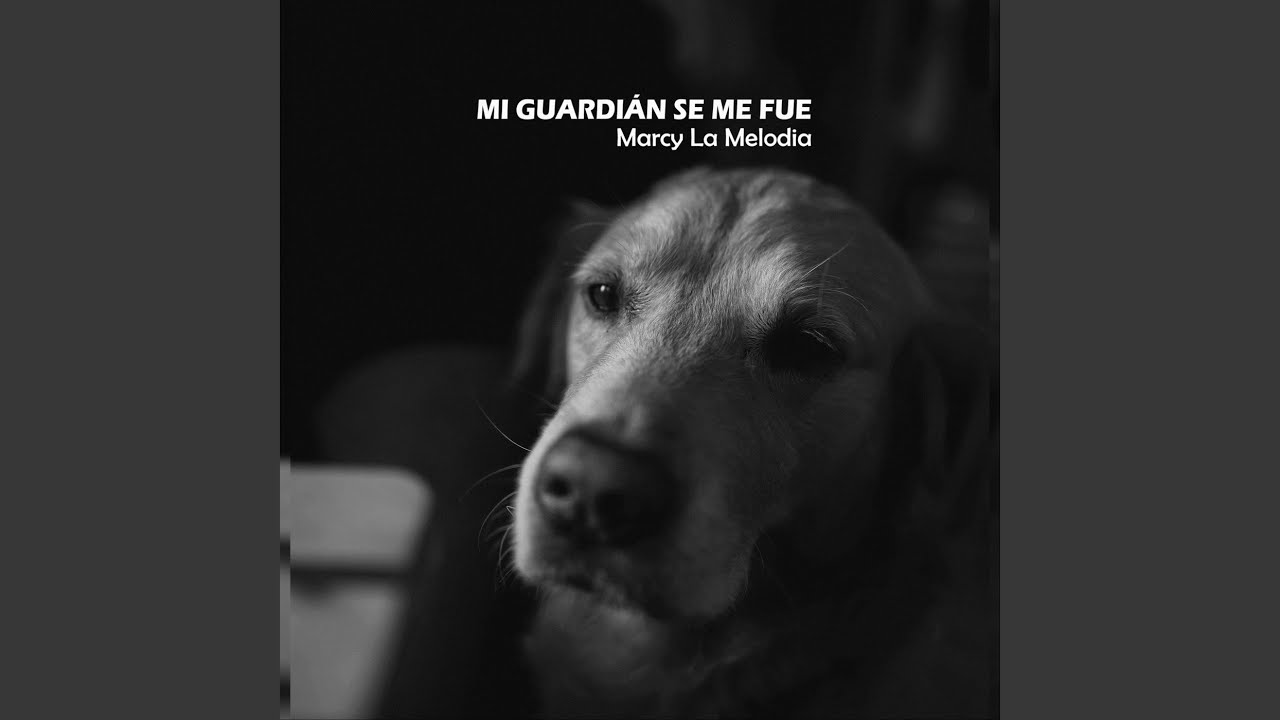 Mi Guardián Se Me Fue