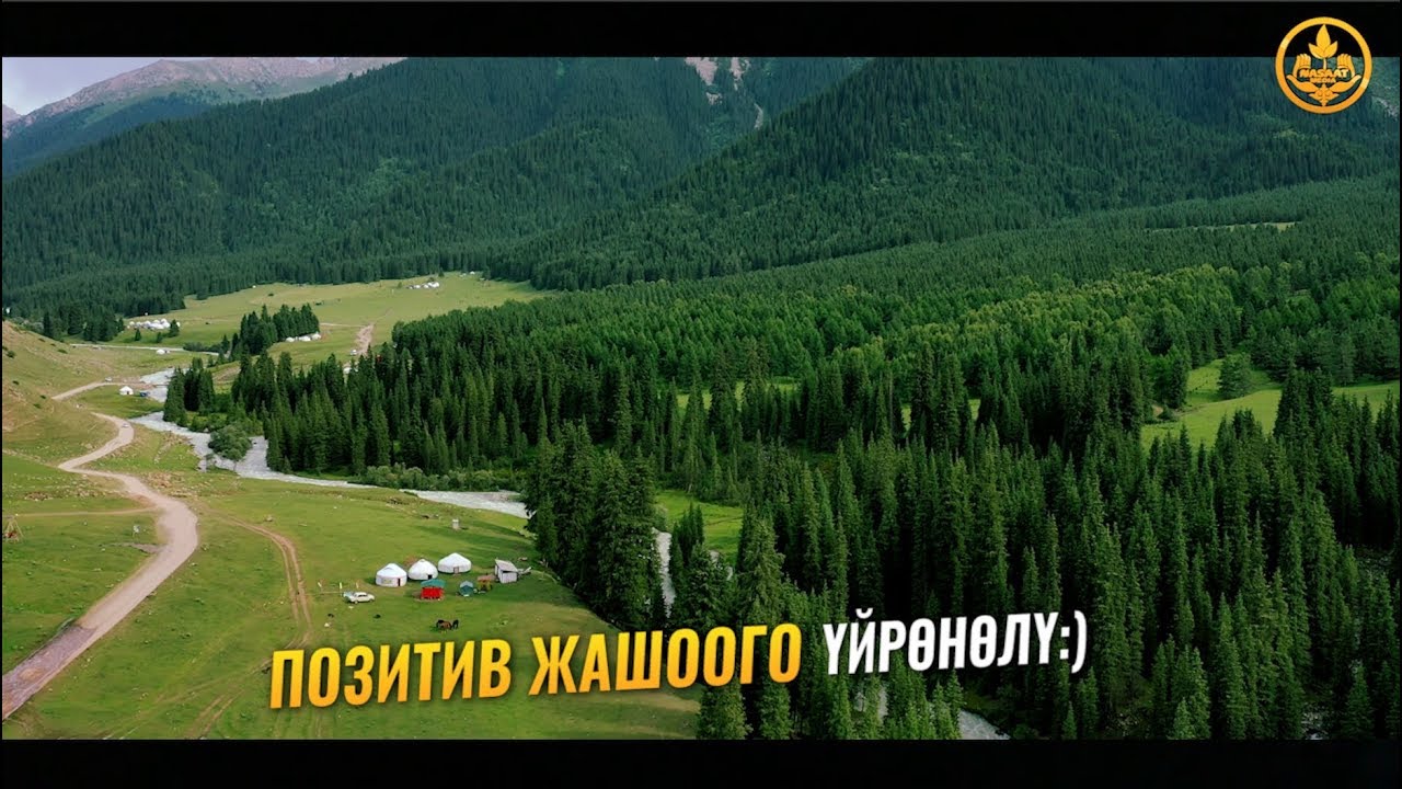ПОЗИТИВ ЖАШООГО ҮЙРӨНӨЛҮ (соонун сабак). Шейх Чубак ажы