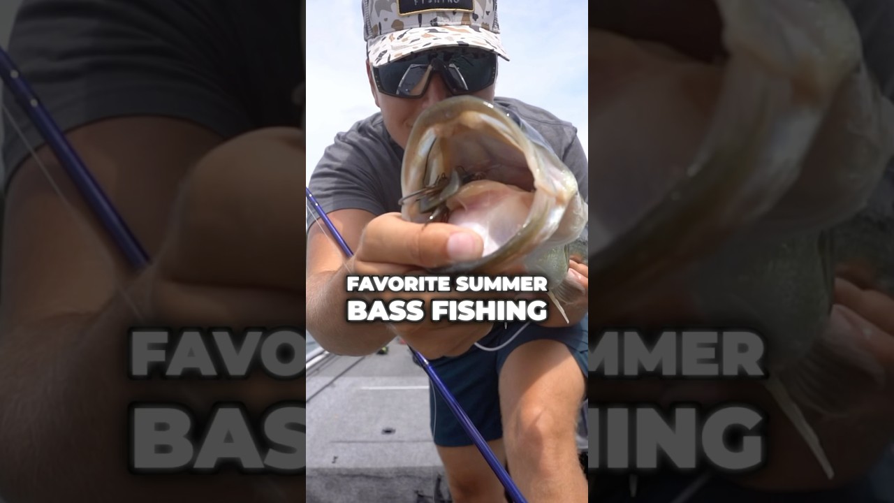 This Might Be the BEST Summer Bass Fishing Technique 🎣🔥 