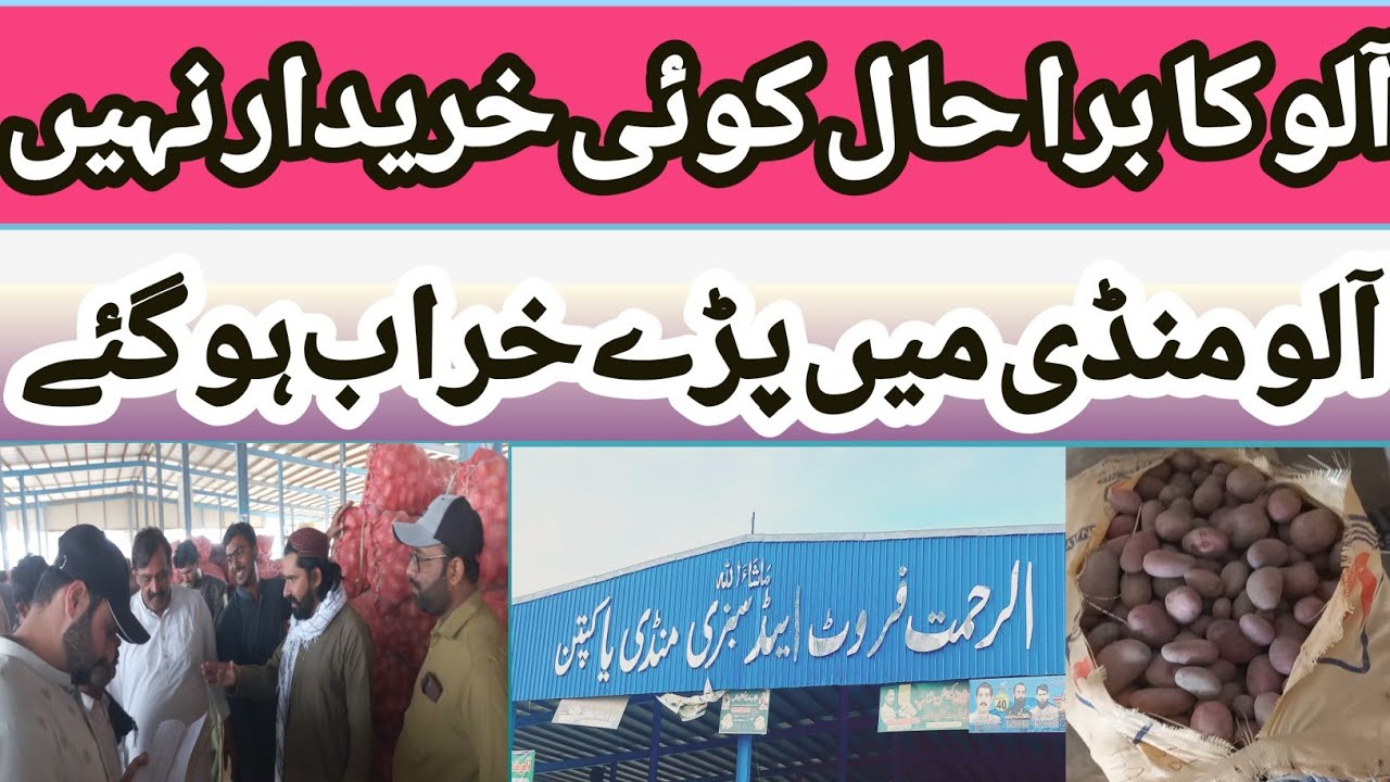 Alo ki live boli#ptato #farming #marketing #agriculture#viral #viralvideo #farmer #mandi 