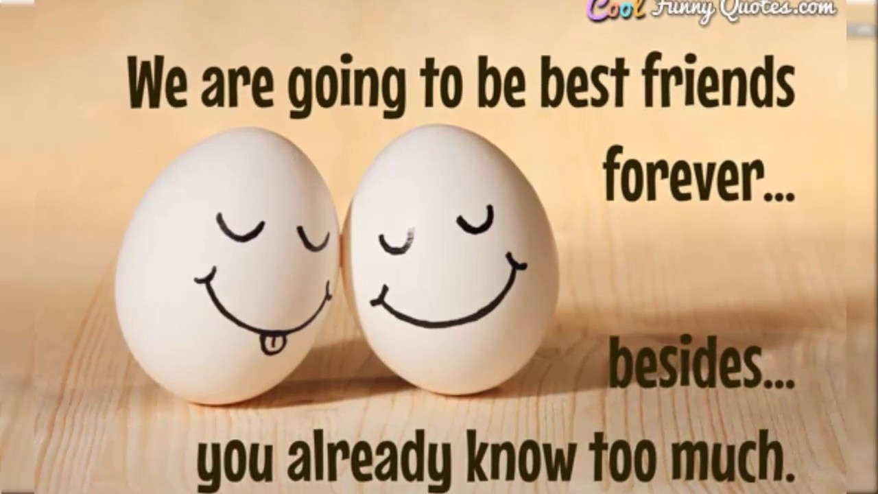 Quotes About Friendship | Best Friendship Quotes | Cool & Funny Friendship Quotes (2018)