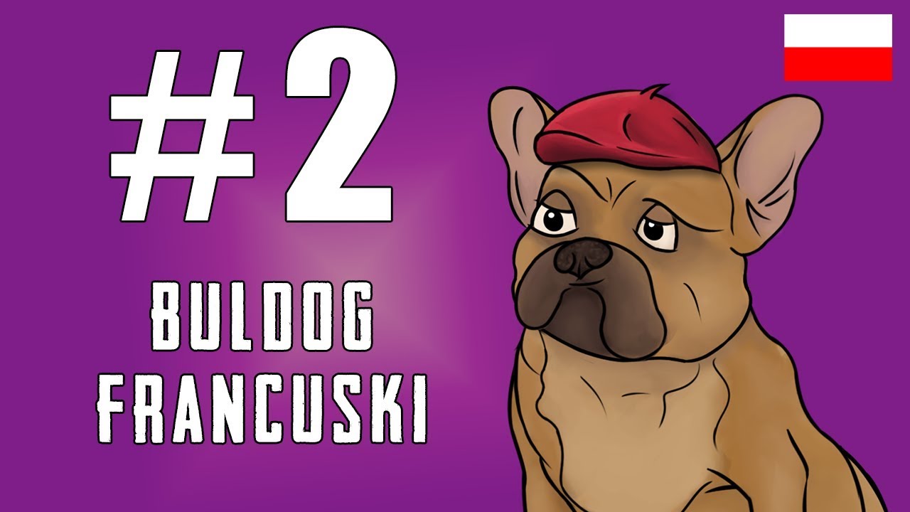 Buldog Francuski - to nie kanapowy magnat