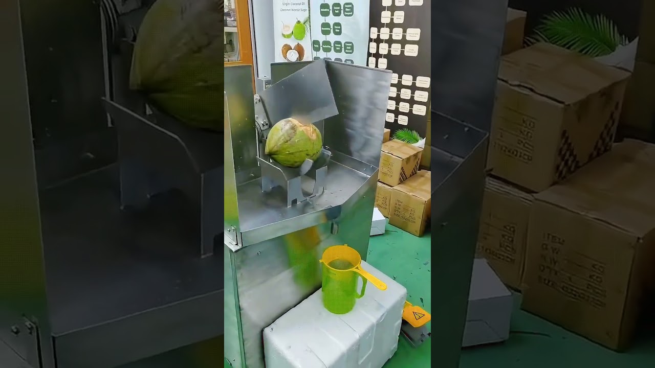 Semi Automatic Young Coconut Cutting Machine #cocoman #mesinpemotongkelapa