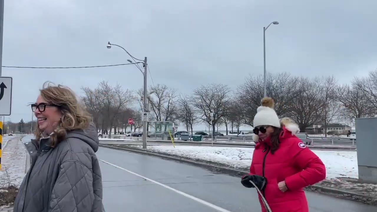 《我记得你眼里的依恋》, Woodbine Beach, Toronto 2024-12-28