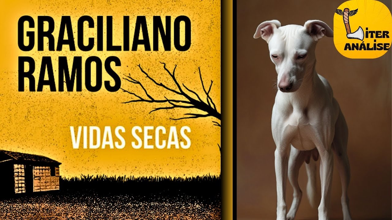 VIDAS SECAS - Análise do Livro de GRACILIANO RAMOS