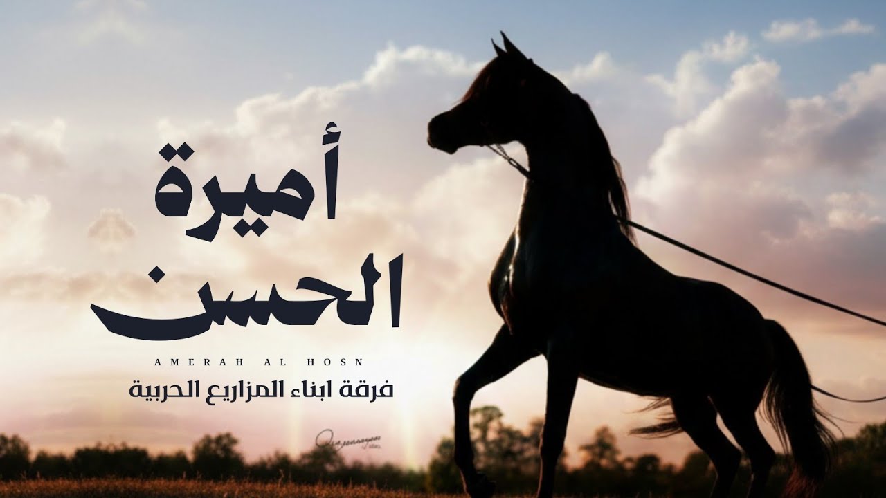 أميرة الحسن | جديد فرقة أبناء المزاريع الحربية (حصرياً) 2026