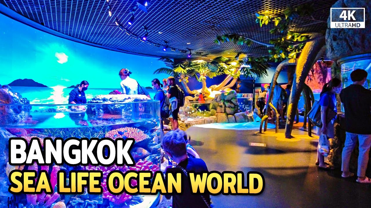 SEA LIFE Ocean World, the Largest Aquarium in Bangkok at Siam Paragon [4K]