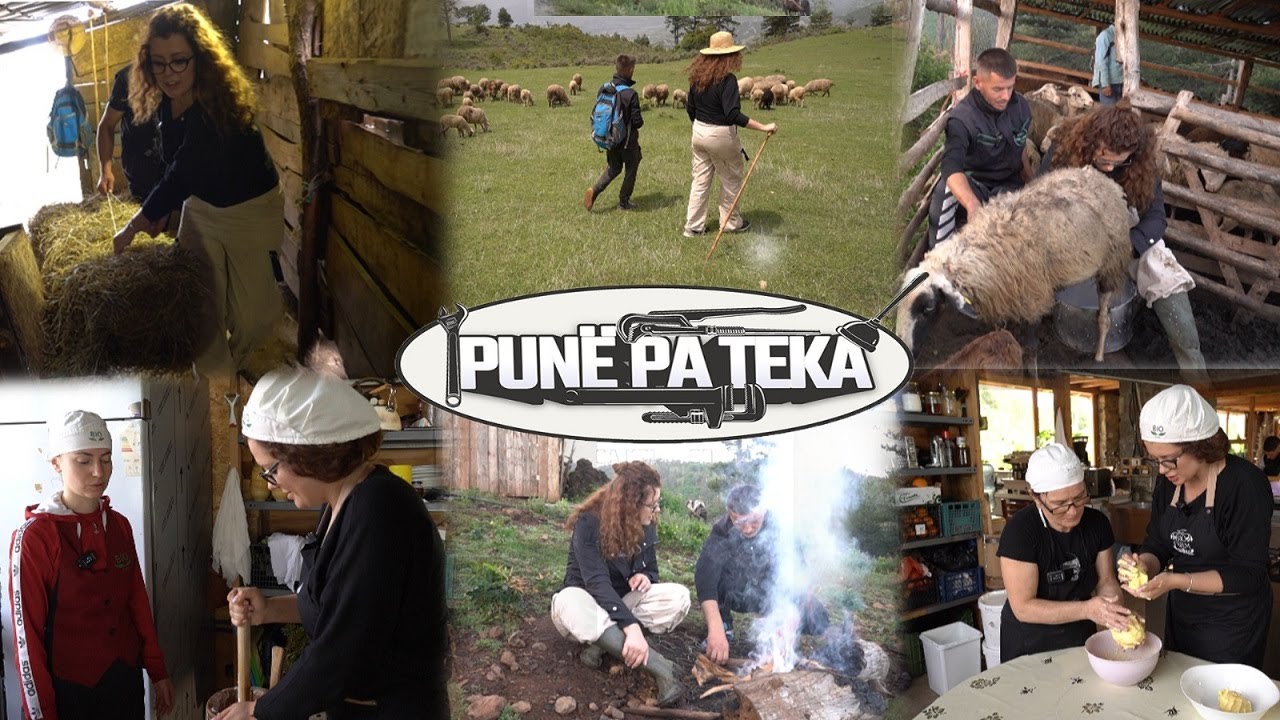 Me çobanët për kullotje! A doli UJKU? - Punë Pa Teka