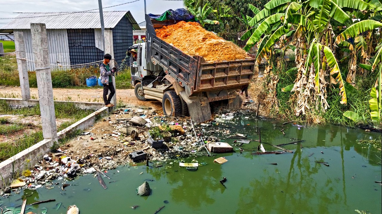Starting A New Project!! Filling Land By Dump Truck Unloading Soil with Komat'Su D20P Dozer