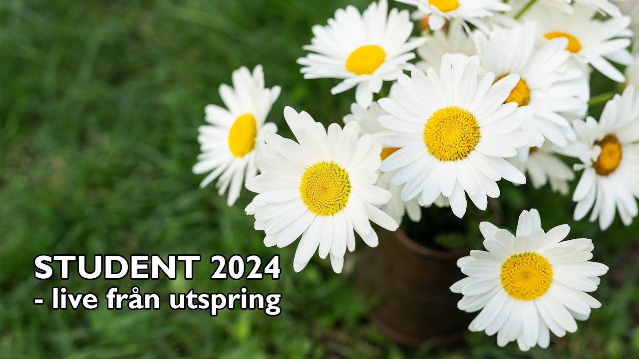 STUDENTEN 2024