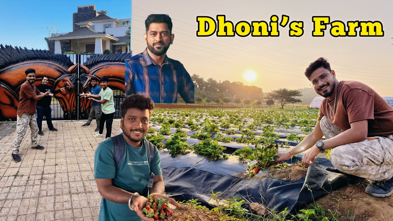 M.S. Dhoni sir ke Farm se Churaya Strawberry 🍓 | Exploring Ranchi with @Travel with Nikhil Roshan  P2