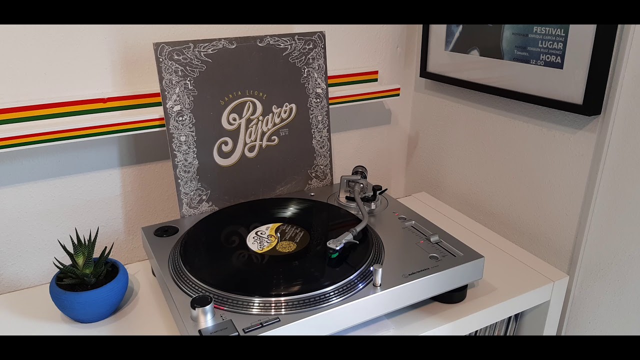 Pájaro ☆ Perchè   Vinyl HQ Sound