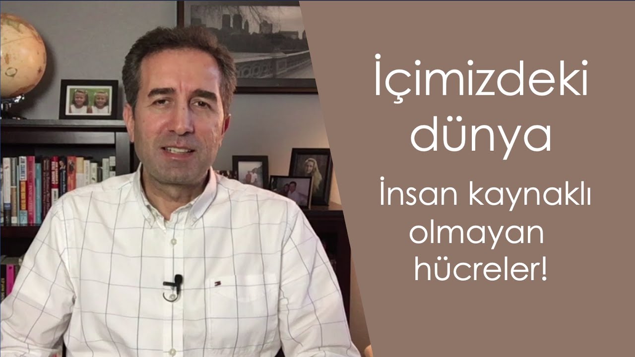 İçimizdeki dünya