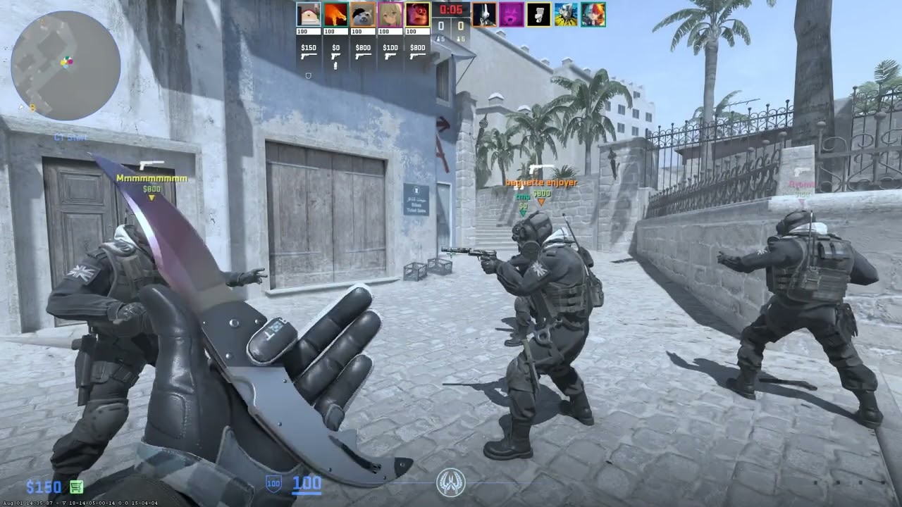 Pretending to be a girl in CS2 (except I am actually a girl)