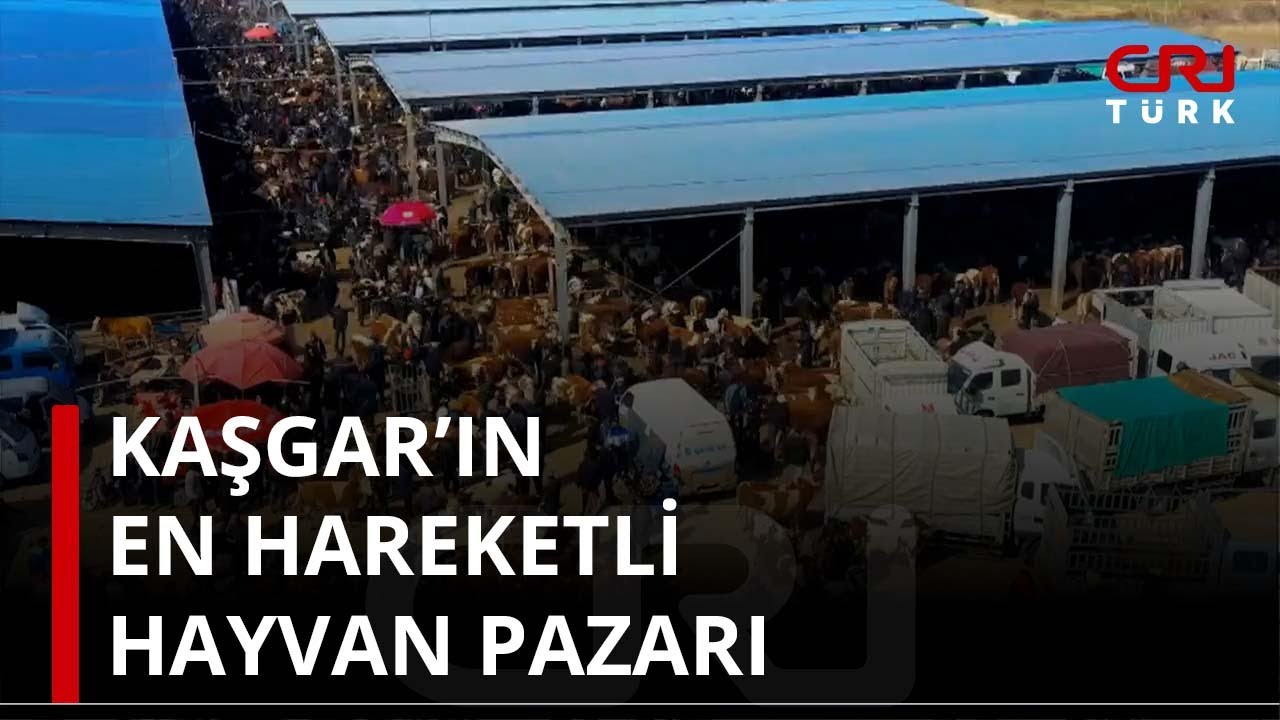 Kaşgar’ın en hareketli hayvan pazarı