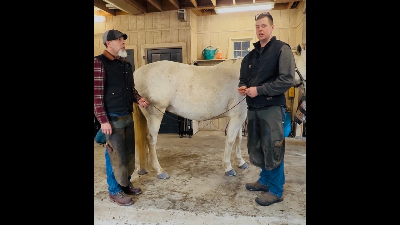 A Mike Wildenstein Guideline: Using a string to assess plantar(hind) hoof angles