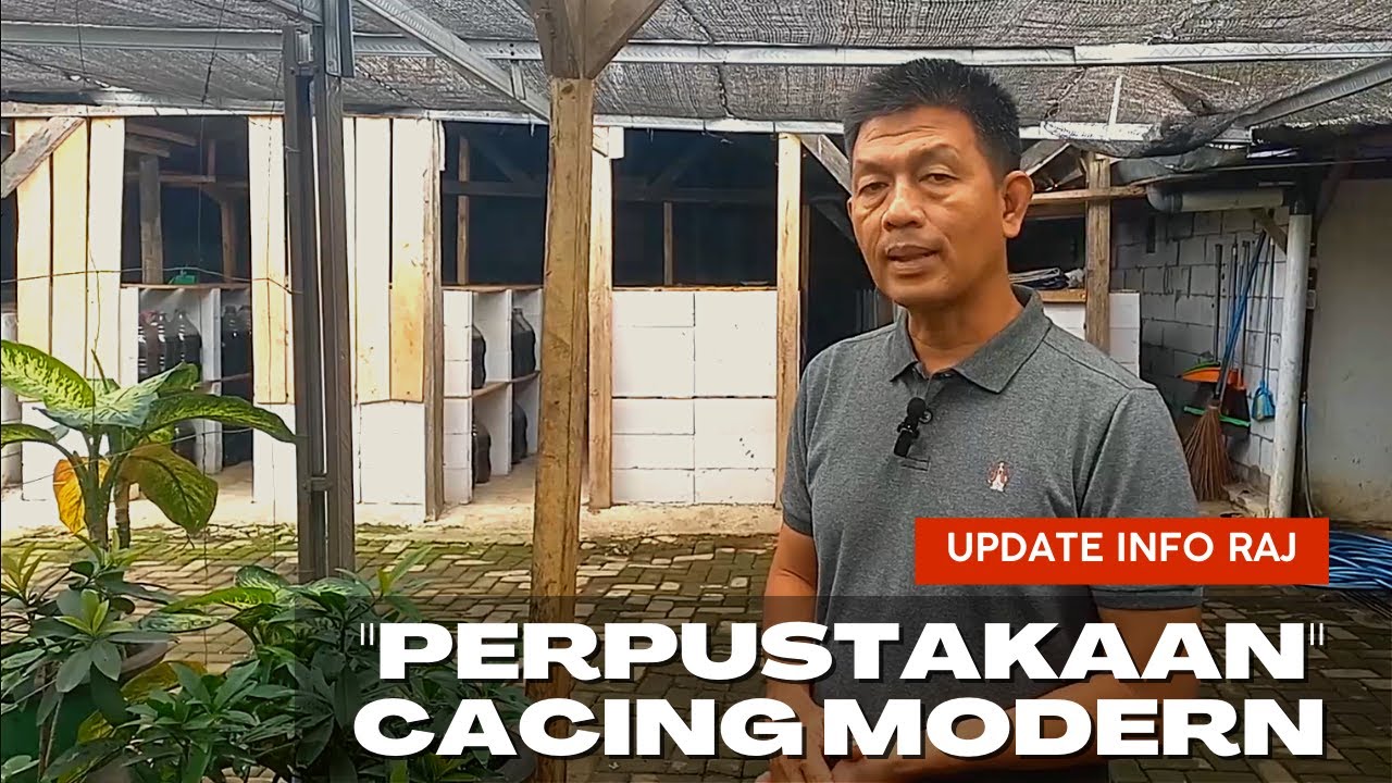 INTIP PERPUSTAKAAN CACING RAJ ORGANIK, ADA ILMU BIKIN CACING CAIR, CACING KERING, SUPLEMEN PERTANIAN