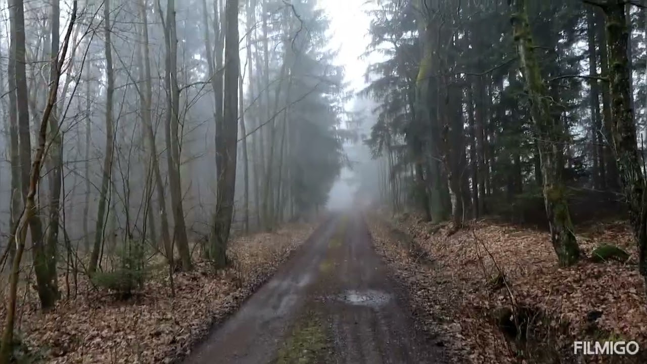 #20 - Márfyho české kopečkárium - Korálka (624) + Kokšín (684) - Brdy a Podbrdí