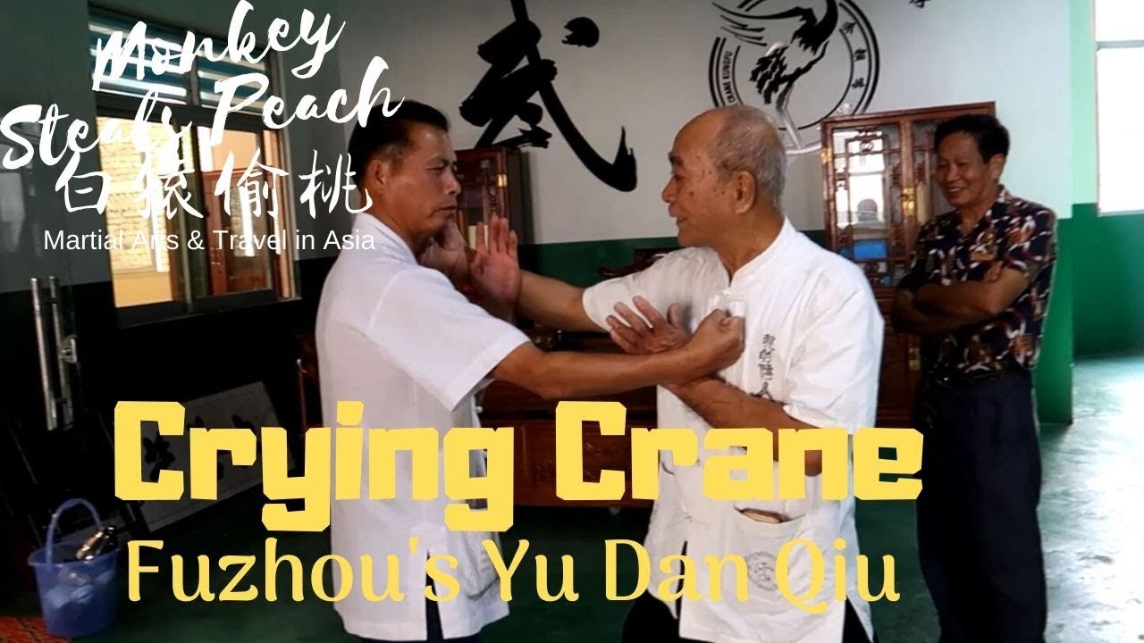 Whooping Crane Master Yu Dan Qiu - Masters of Fujian ep8