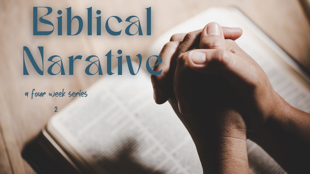 Biblical narrative is descriptive not prescriptive.