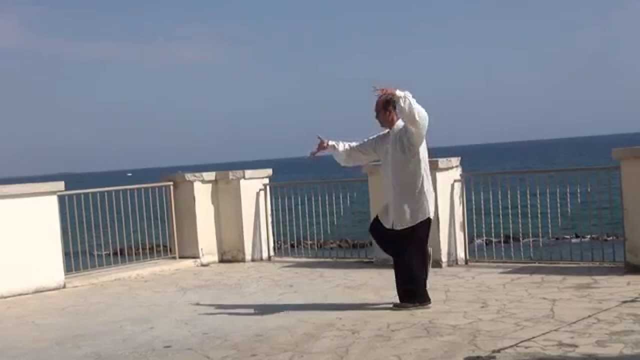 CORSI DI TAI CHI E QI GONG DA 10 EURO A ROMA - LA FORMA 24 - VISIONE POSTERIORE