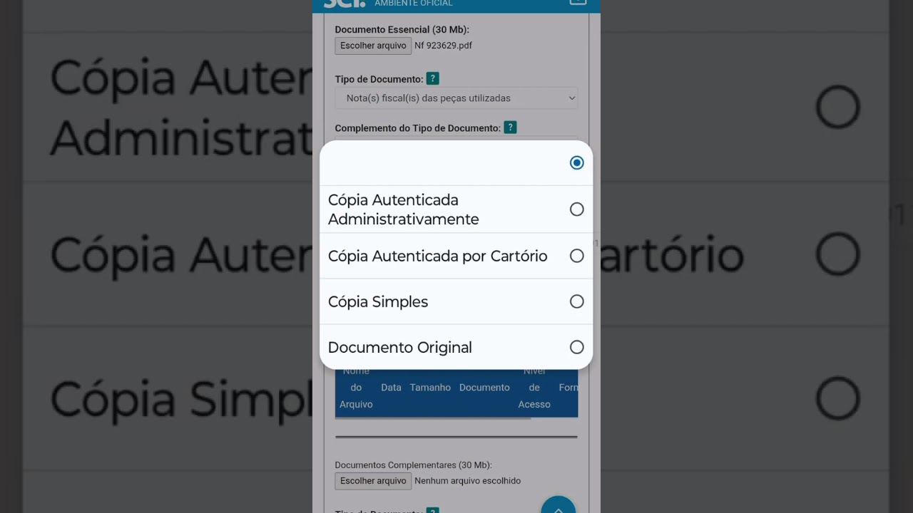 Como desbloquear sinistro dano m&eacute;dia monta Somente S&atilde;o Paulo! #automobile #detransp #leilao #leil&atilde;o
