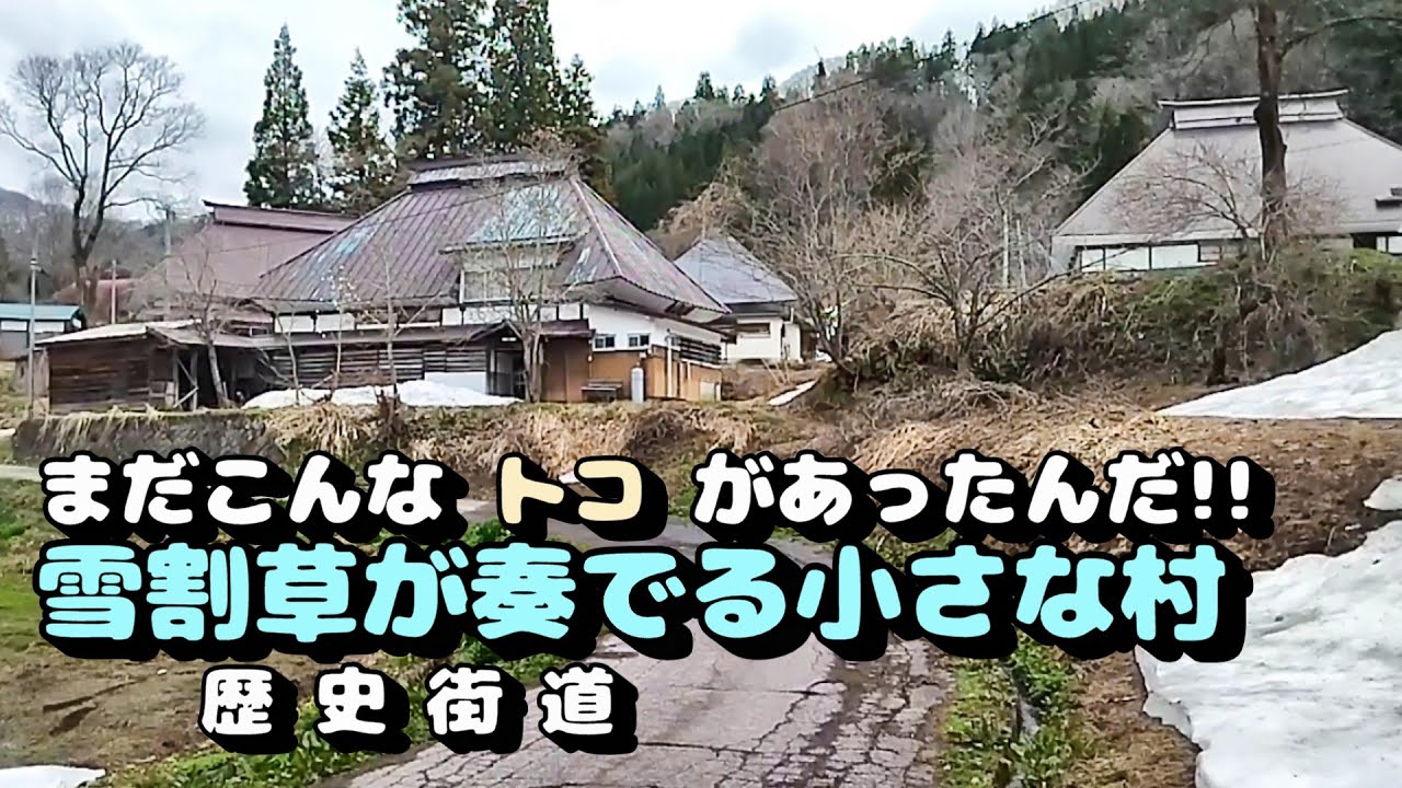 雪割草が奏でる小さな村