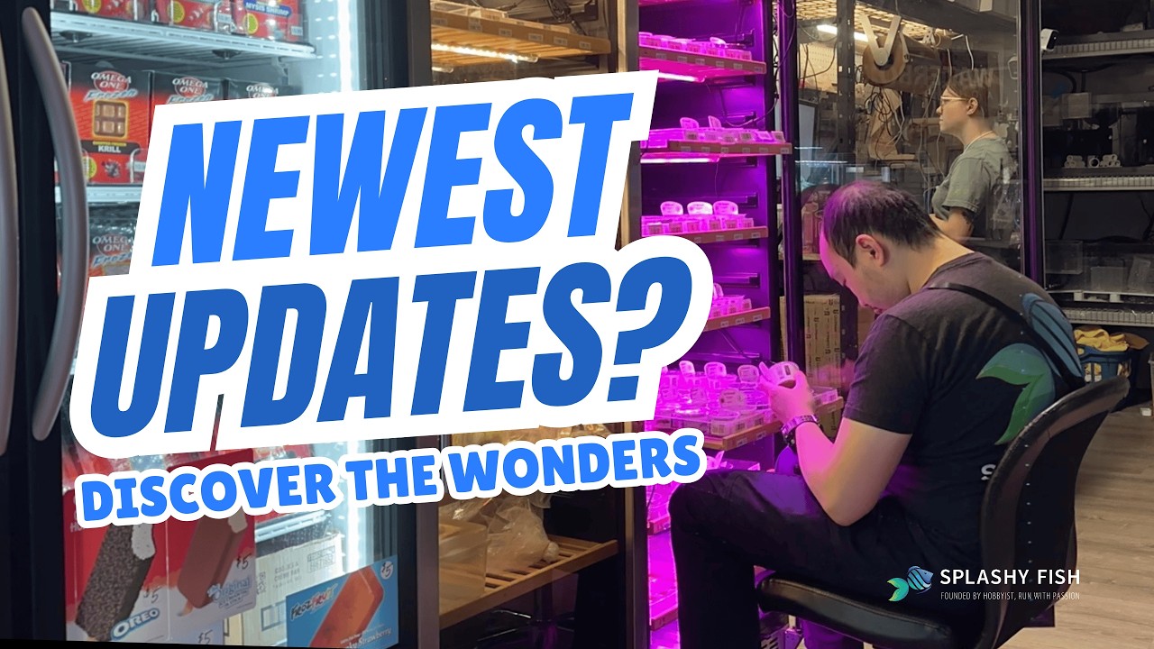 Discover the Wonders of Our Splashy Fish Tropical Fish Store!
