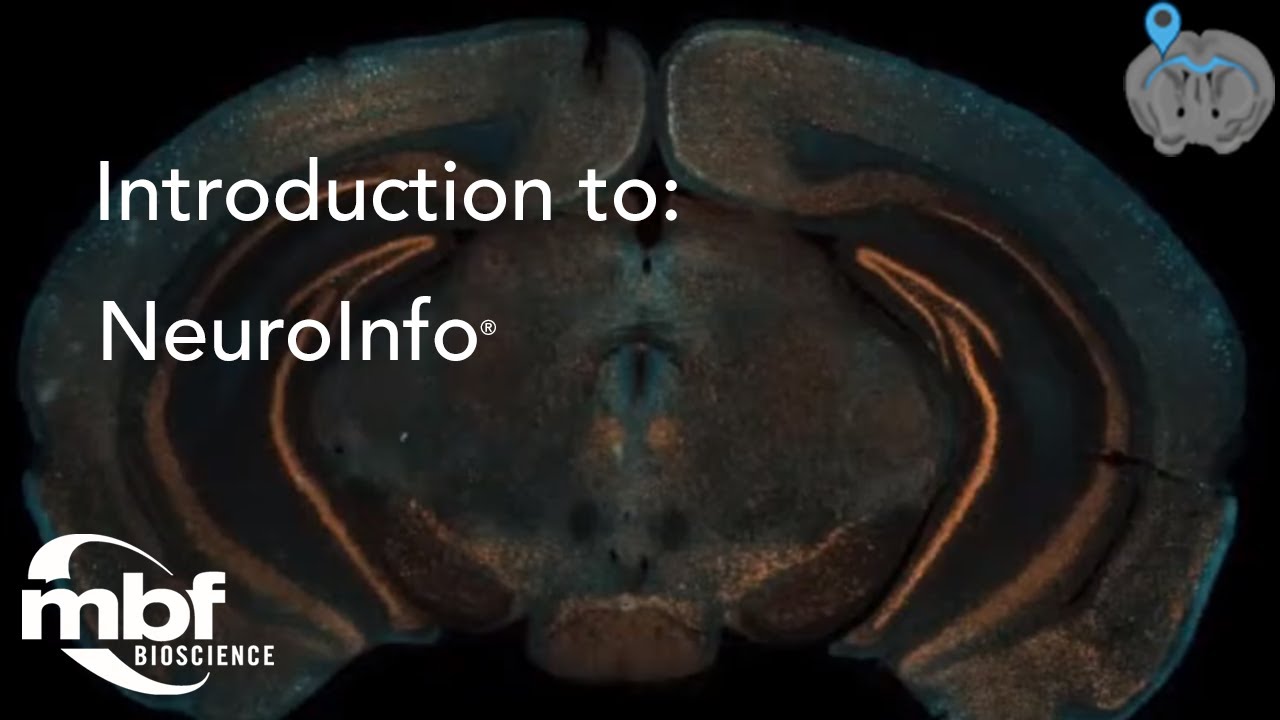 Introduction to NeuroInfo