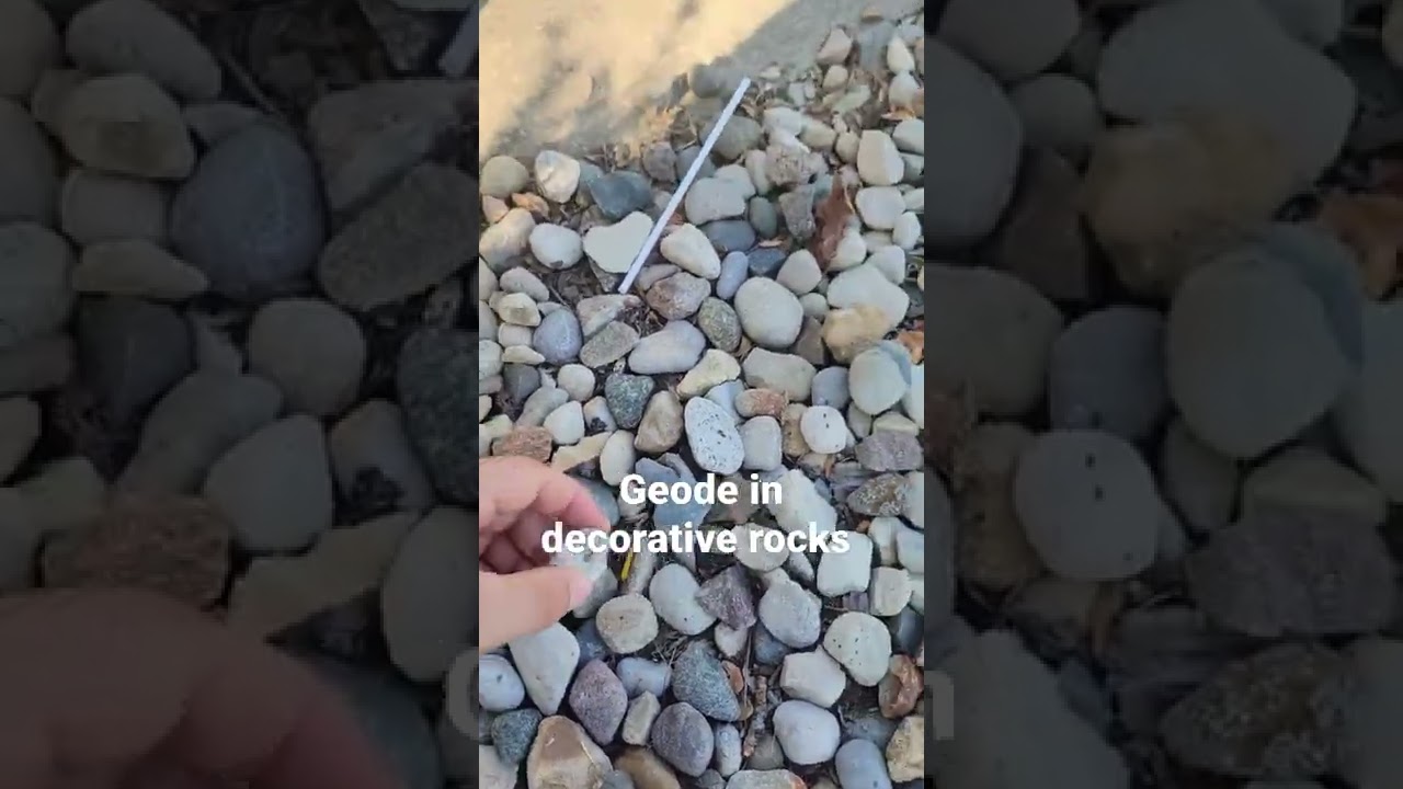 Geode in decorative rocks! #rocks #geode #rockcollection #cool #collector #collection #rockhunter