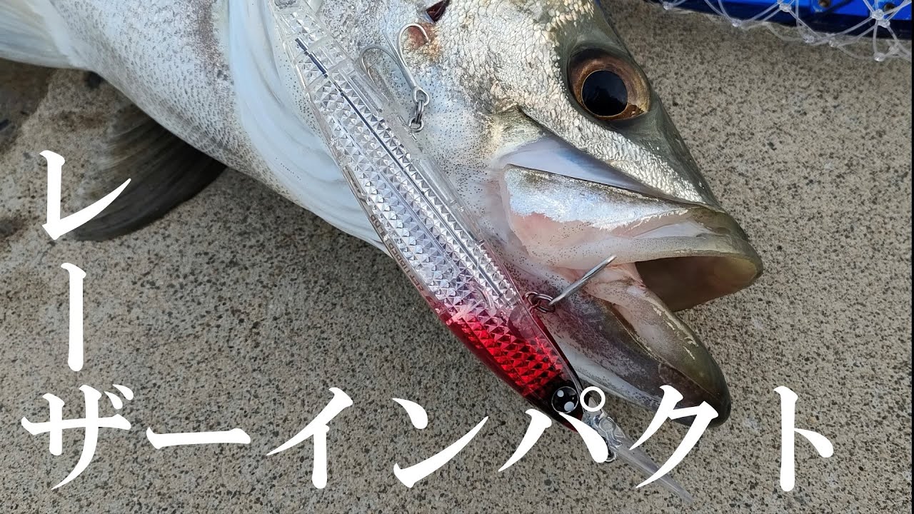 新技術「レーザーインパクト」が搭載された元々釣れるルアー【DAIWA SHORELINE SHINER Z SETUPPER125S-DR ショアラインシャイナー　セットアッパー】