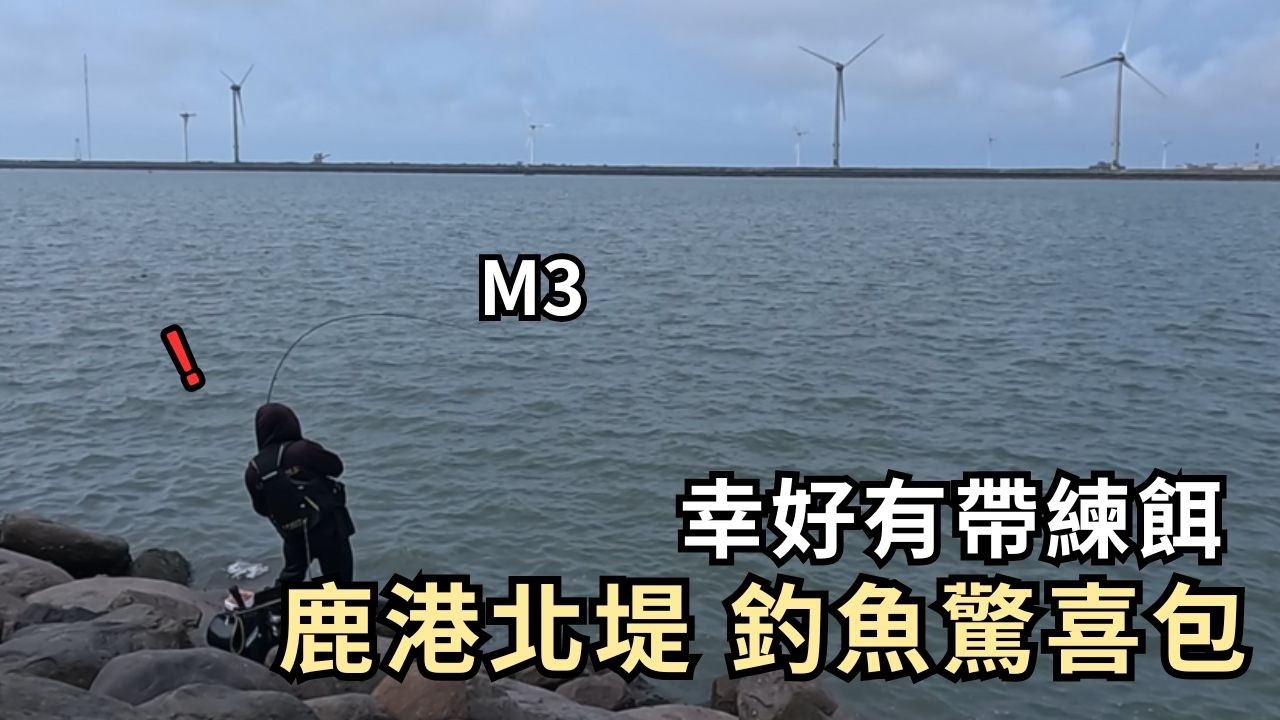 M3 鹿港北堤驚喜連連！ 魚種超豐富 幸好有帶煉餌︱磯釣︱阿波︱全游動︱