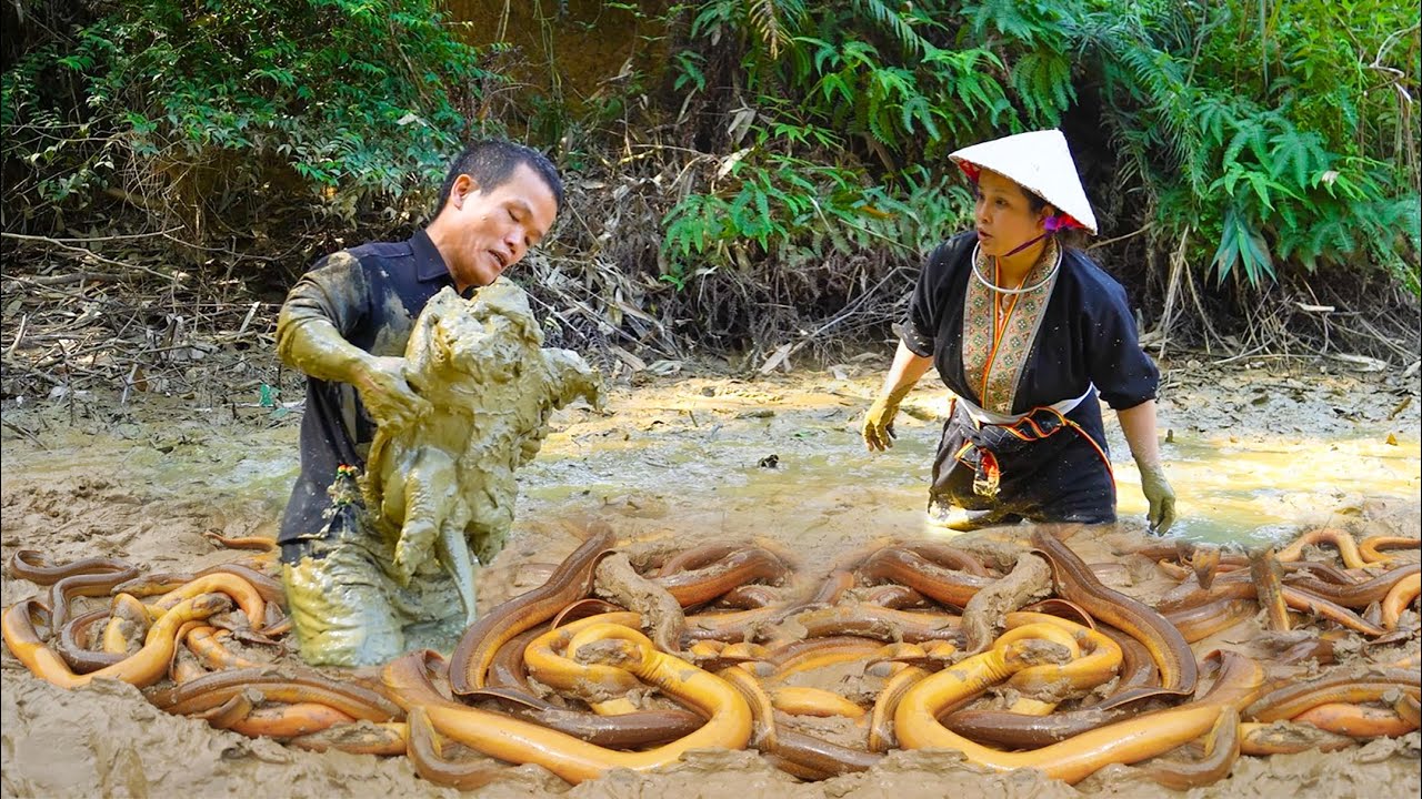 Dwarf Family Catch eels underground discovered a strange creature | How dwarfs find eels underground