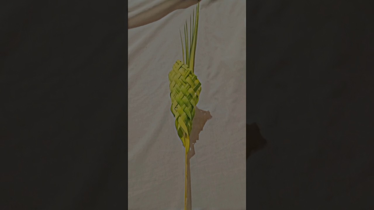make a tokr #paisayenyasathiupay  from pam