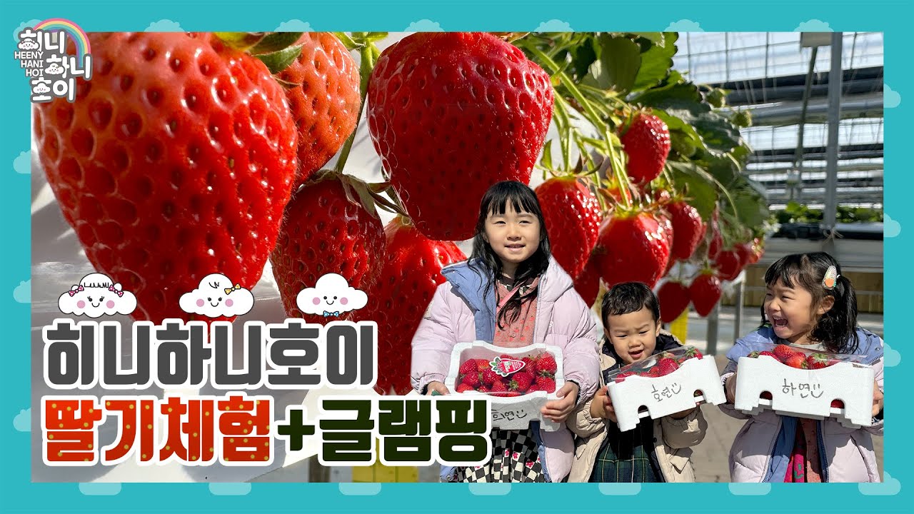 [히니하니호이]딸기체험+글램핑