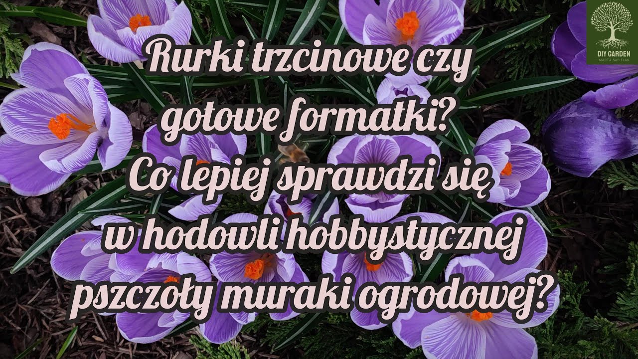 Rurki trzcinowe czy gotowe formatki?