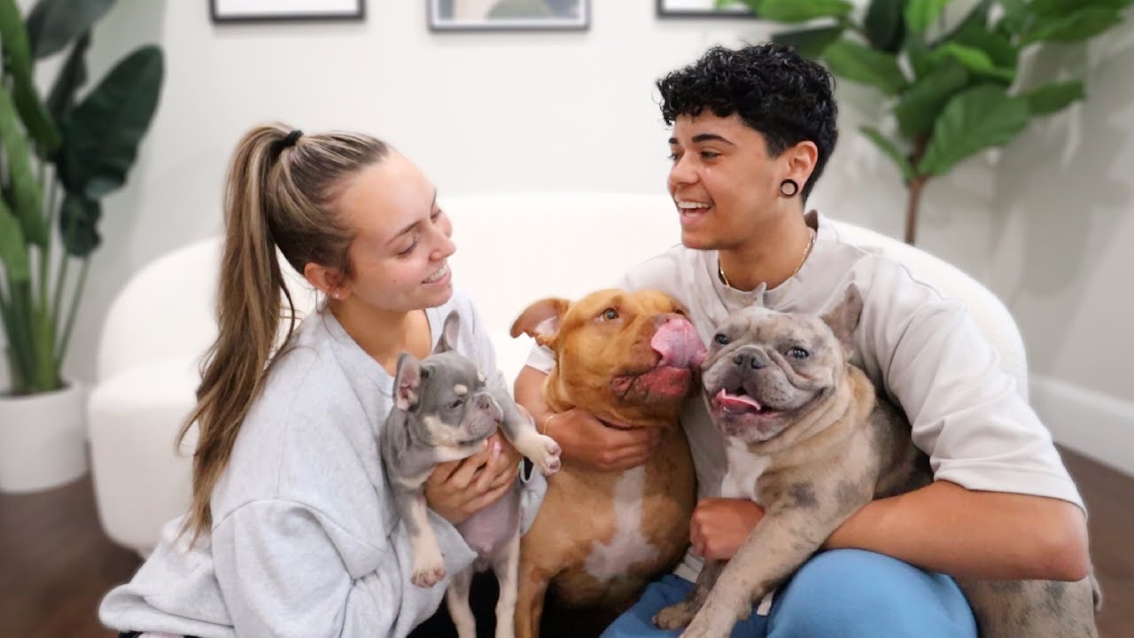 BRINGING OUR NEW PUPPY HOME FOR THE FIRST TIME!!!