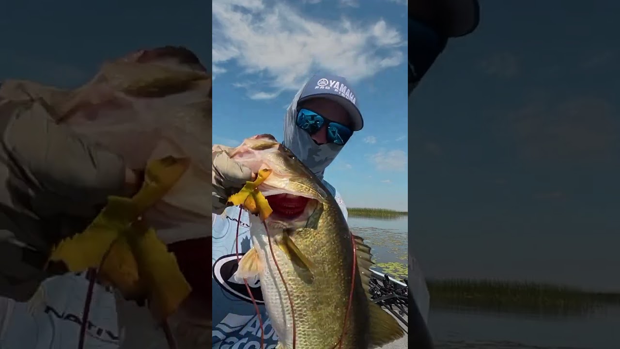 Jordan Lee makes bass fishing look too easy sometimes lol