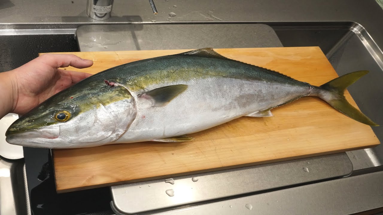 ブリのさばき方と刺身の切り方