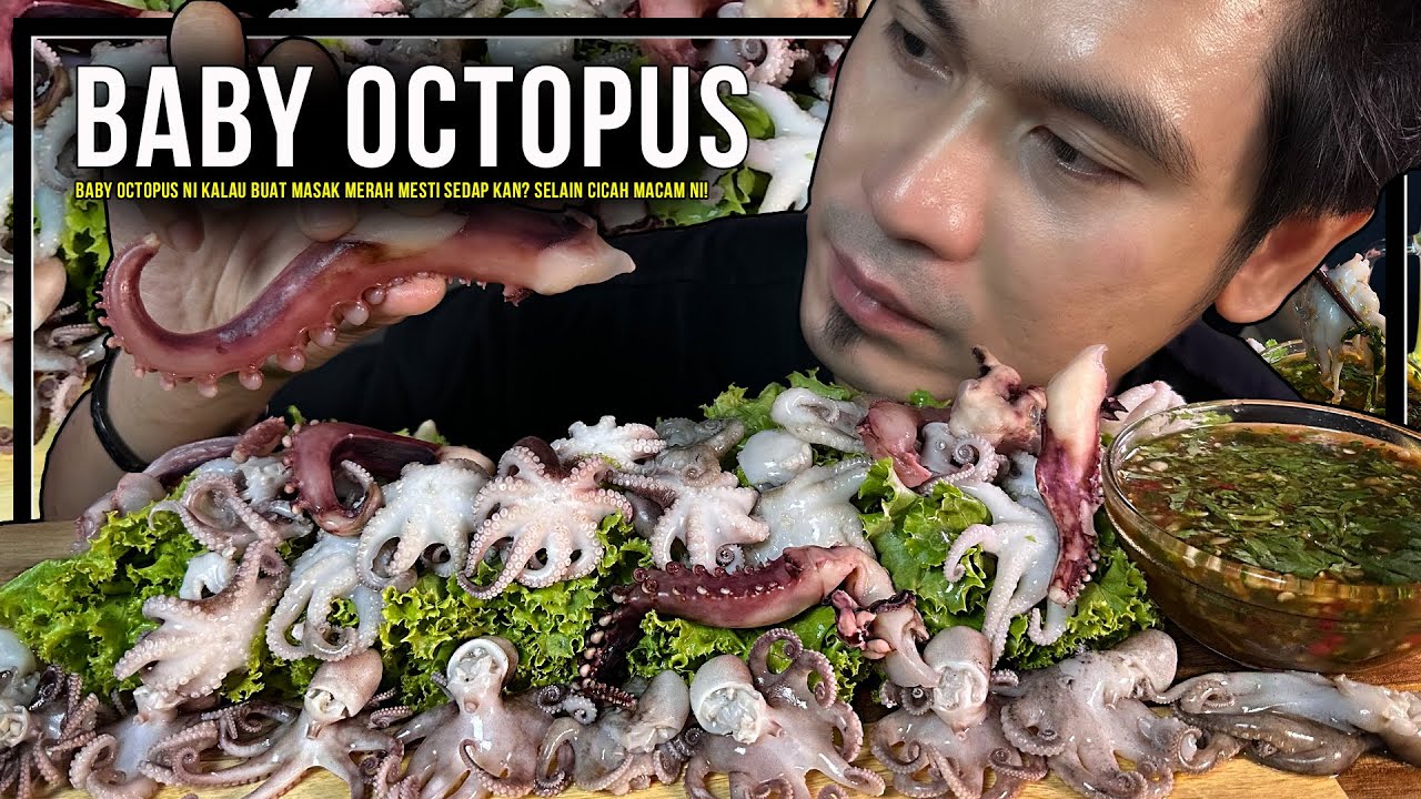 Baby Octopus ni ! makan berkilo kilo pon tak kenyang kenapa ekk?!